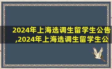 2024年上海选调生留学生公告,2024年上海选调生留学生公告在哪看