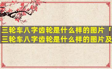 三轮车八字齿轮是什么样的图片「三轮车八字齿轮是什么样的图片及价格」