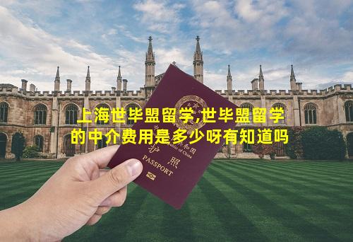 上海世毕盟留学,世毕盟留学的中介费用是多少呀有知道吗