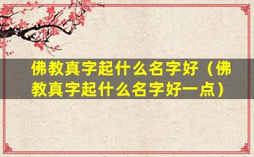 佛教真字起什么名字好（佛教真字起什么名字好一点）