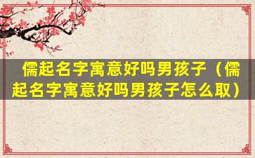 儒起名字寓意好吗男孩子（儒起名字寓意好吗男孩子怎么取）
