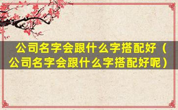 公司名字会跟什么字搭配好（公司名字会跟什么字搭配好呢）