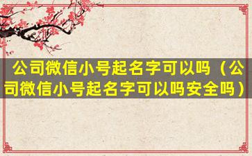 公司微信小号起名字可以吗（公司微信小号起名字可以吗安全吗）