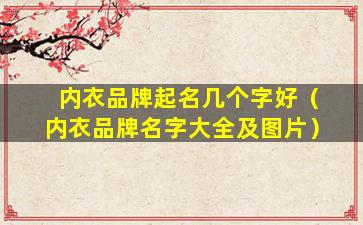 内衣品牌起名几个字好（内衣品牌名字大全及图片）