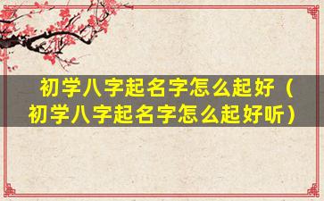 初学八字起名字怎么起好（初学八字起名字怎么起好听）