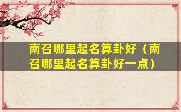 南召哪里起名算卦好（南召哪里起名算卦好一点）