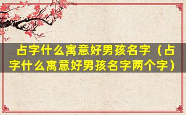 占字什么寓意好男孩名字（占字什么寓意好男孩名字两个字）