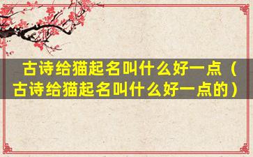 古诗给猫起名叫什么好一点（古诗给猫起名叫什么好一点的）
