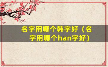 名字用哪个韩字好（名字用哪个han字好）