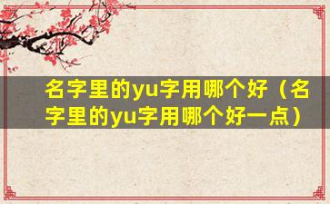 名字里的yu字用哪个好（名字里的yu字用哪个好一点）