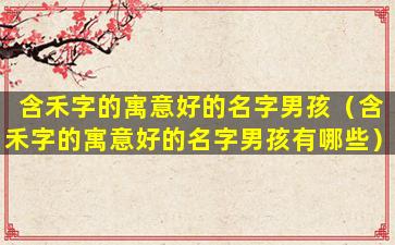 含禾字的寓意好的名字男孩（含禾字的寓意好的名字男孩有哪些）