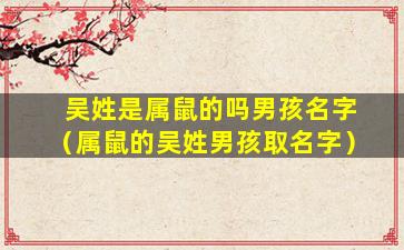 吴姓是属鼠的吗男孩名字（属鼠的吴姓男孩取名字）