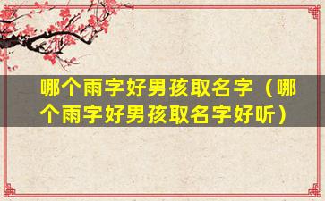 哪个雨字好男孩取名字（哪个雨字好男孩取名字好听）