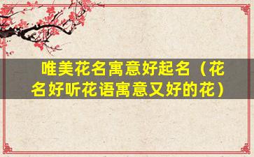 唯美花名寓意好起名（花名好听花语寓意又好的花）