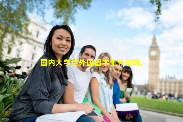 国内大学给外国留学生补贴吗,