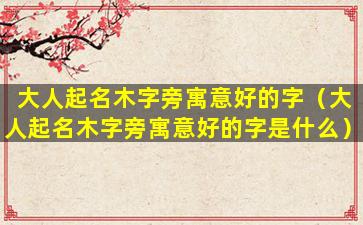 大人起名木字旁寓意好的字（大人起名木字旁寓意好的字是什么）