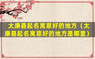 太康县起名寓意好的地方（太康县起名寓意好的地方是哪里）