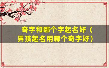 奇字和哪个字起名好（男孩起名用哪个奇字好）
