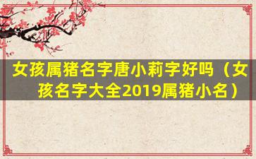 女孩属猪名字唐小莉字好吗（女孩名字大全2019属猪小名）