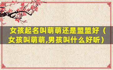 女孩起名叫萌萌还是盟盟好（女孩叫萌萌,男孩叫什么好听）