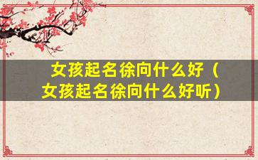 女孩起名徐向什么好（女孩起名徐向什么好听）