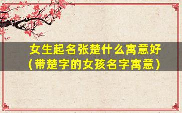 女生起名张楚什么寓意好（带楚字的女孩名字寓意）