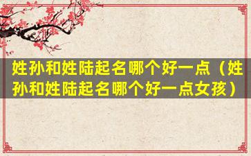 姓孙和姓陆起名哪个好一点（姓孙和姓陆起名哪个好一点女孩）