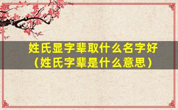 姓氏显字辈取什么名字好（姓氏字辈是什么意思）