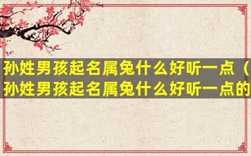 孙姓男孩起名属兔什么好听一点（孙姓男孩起名属兔什么好听一点的名字）