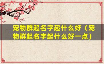 宠物群起名字起什么好（宠物群起名字起什么好一点）