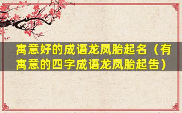 寓意好的成语龙凤胎起名（有寓意的四字成语龙凤胎起吿）