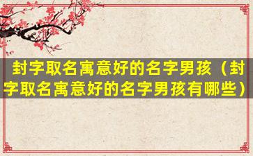 封字取名寓意好的名字男孩（封字取名寓意好的名字男孩有哪些）