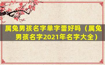 属兔男孩名字单字蕾好吗（属兔男孩名字2021年名字大全）
