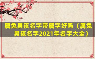 属兔男孩名字带属字好吗（属兔男孩名字2021年名字大全）