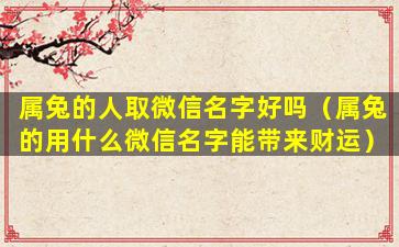 属兔的人取微信名字好吗（属兔的用什么微信名字能带来财运）