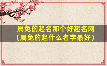 属兔的起名那个好起名网（属兔的起什么名字最好）