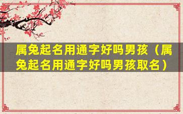 属兔起名用通字好吗男孩（属兔起名用通字好吗男孩取名）