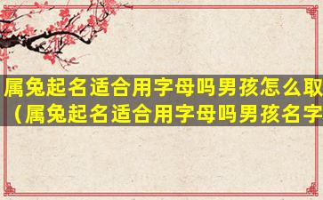属兔起名适合用字母吗男孩怎么取（属兔起名适合用字母吗男孩名字）