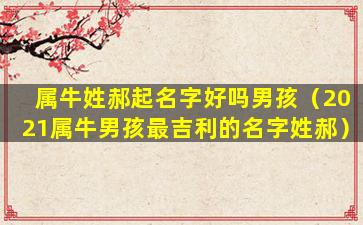 属牛姓郝起名字好吗男孩（2021属牛男孩最吉利的名字姓郝）