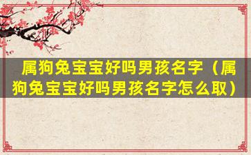属狗兔宝宝好吗男孩名字（属狗兔宝宝好吗男孩名字怎么取）