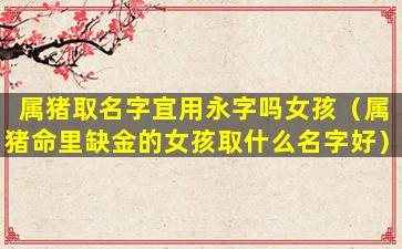 属猪取名字宜用永字吗女孩（属猪命里缺金的女孩取什么名字好）