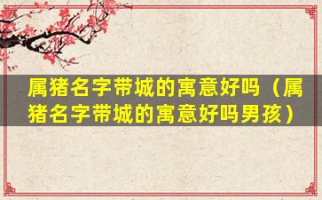 属猪名字带城的寓意好吗（属猪名字带城的寓意好吗男孩）