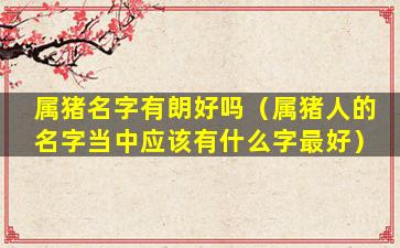 属猪名字有朗好吗（属猪人的名字当中应该有什么字最好）