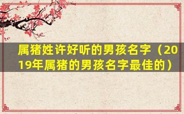 属猪姓许好听的男孩名字（2019年属猪的男孩名字最佳的）