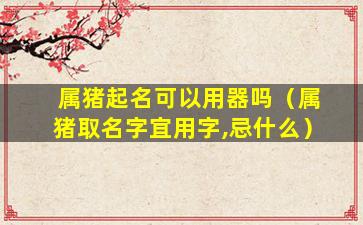 属猪起名可以用器吗（属猪取名字宜用字,忌什么）