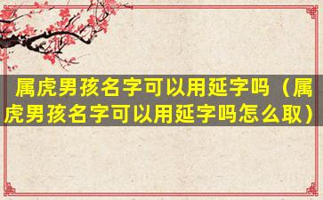 属虎男孩名字可以用延字吗（属虎男孩名字可以用延字吗怎么取）
