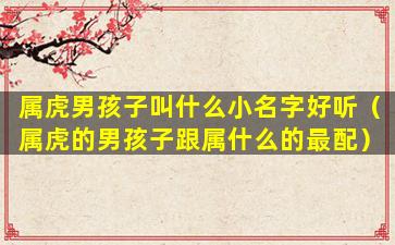 属虎男孩子叫什么小名字好听（属虎的男孩子跟属什么的最配）