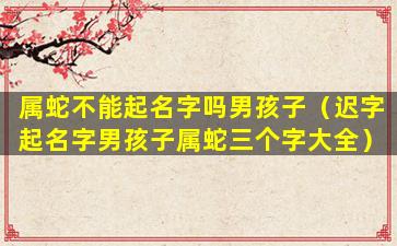 属蛇不能起名字吗男孩子（迟字起名字男孩子属蛇三个字大全）