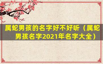 属蛇男孩的名字好不好听（属蛇男孩名字2021年名字大全）