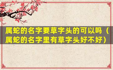 属蛇的名字要草字头的可以吗（属蛇的名字里有草字头好不好）